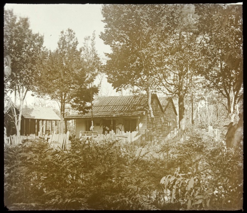 DeliveryManagerServlet